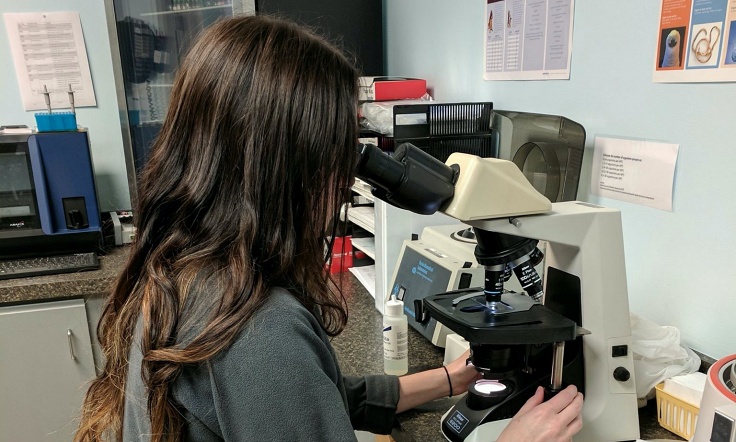 Testing & Diagnosis at Friendship Veterinary Hospital