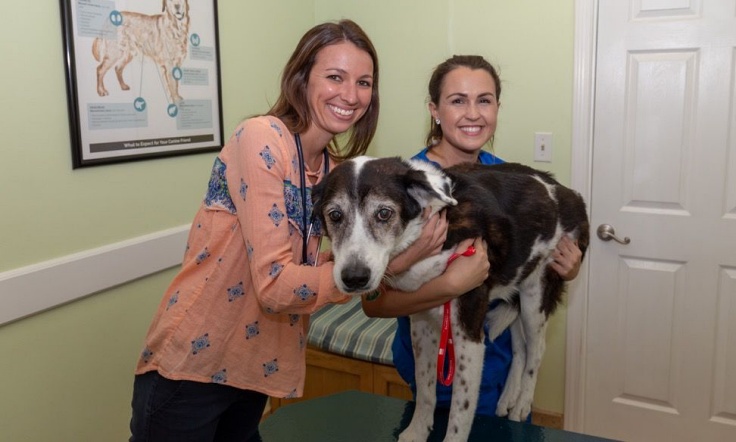 Pet Wellness & Prevention at Friendship Veterinary Hospital